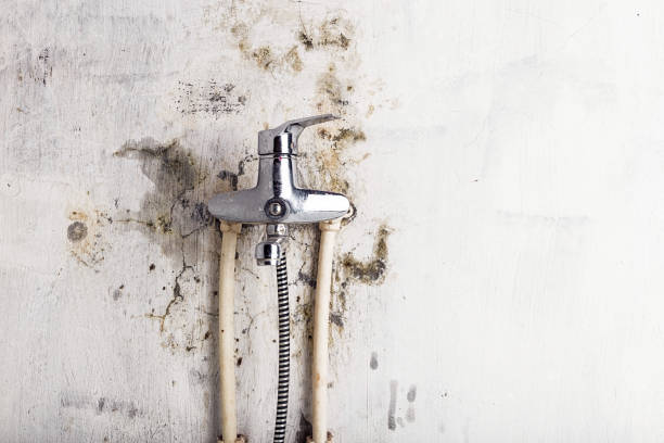 Best Office Mold Removal Services  in Atlanta, GA