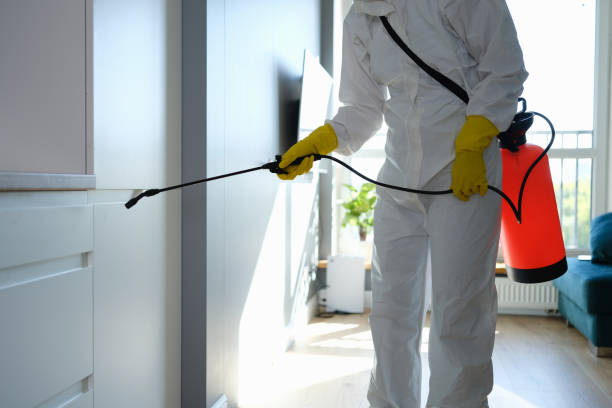 Mold Testing and Removal in Atlanta, GA