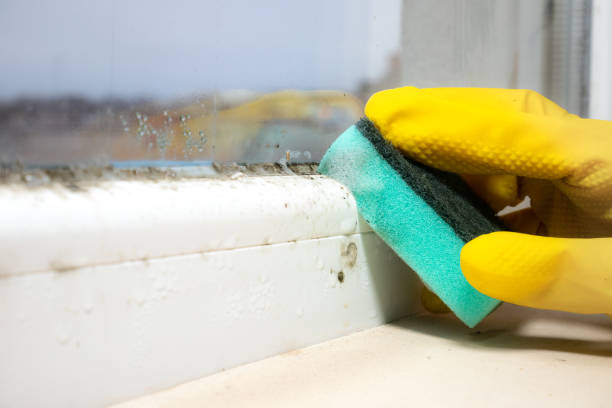 Best Mold Testing  in Atlanta, GA