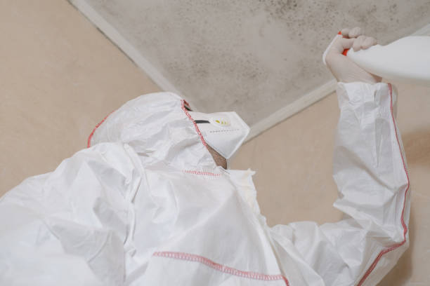 Professional Mold Removal in Atlanta, GA